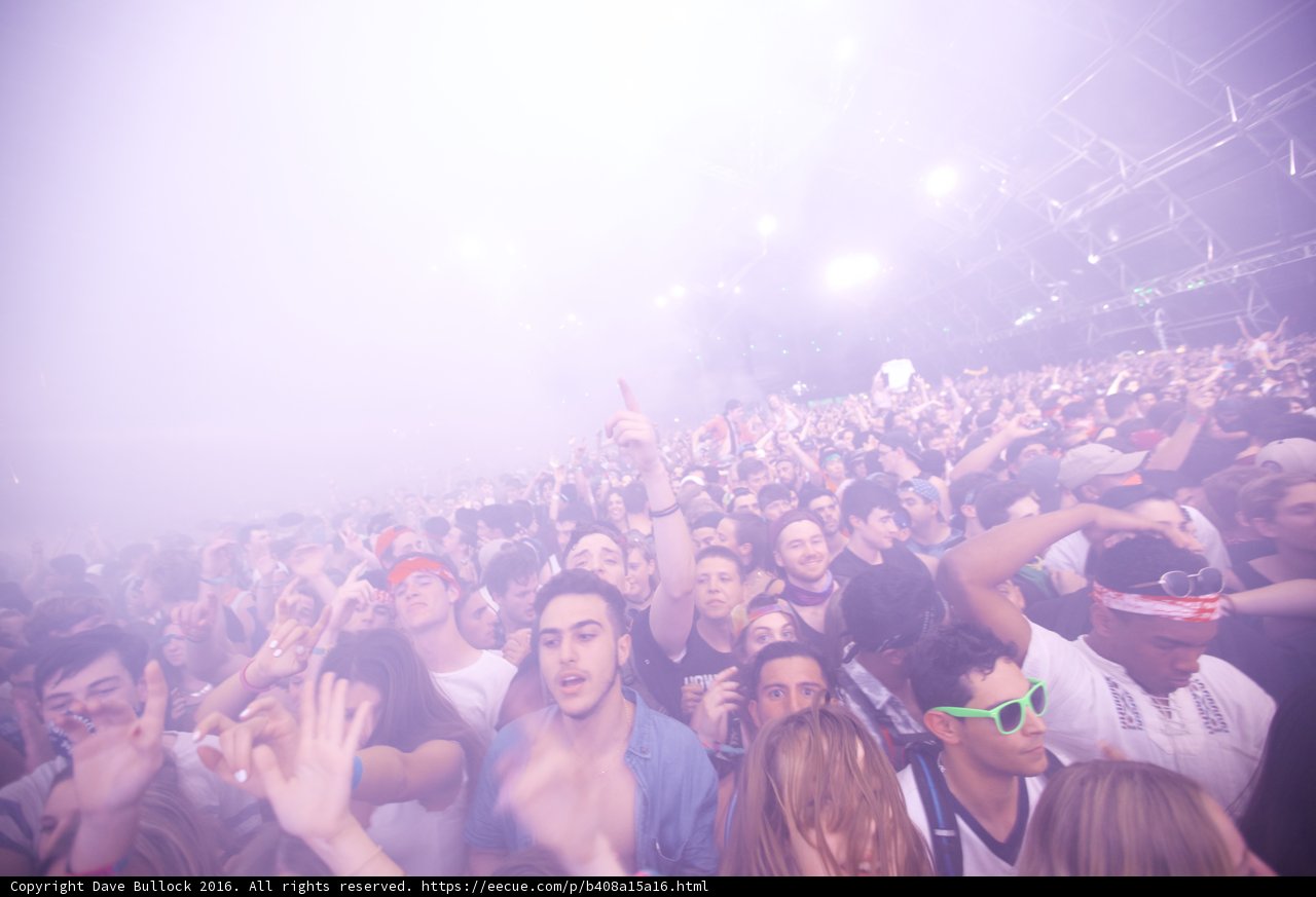 22-Person Crowd Rocks Coachella Concert