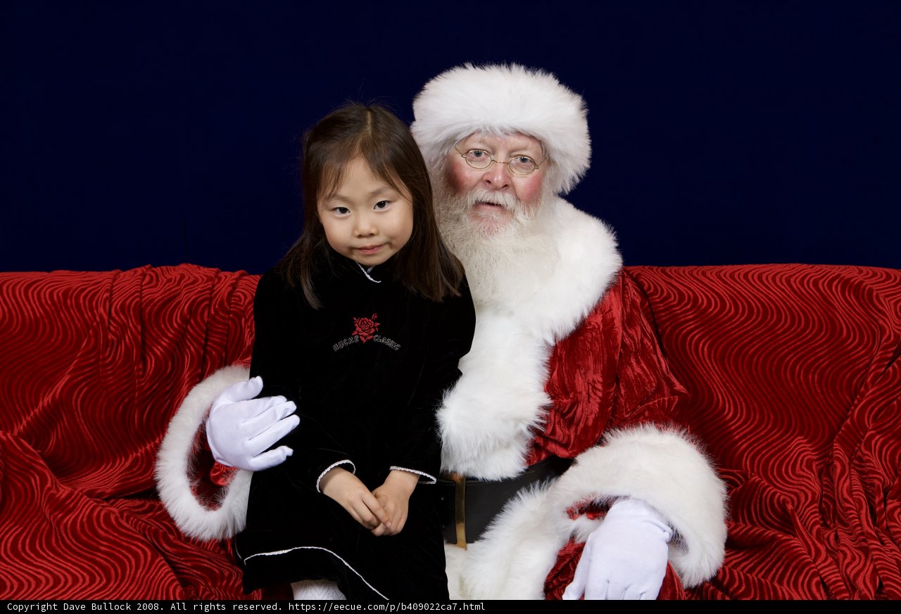 Santa's Little Helper