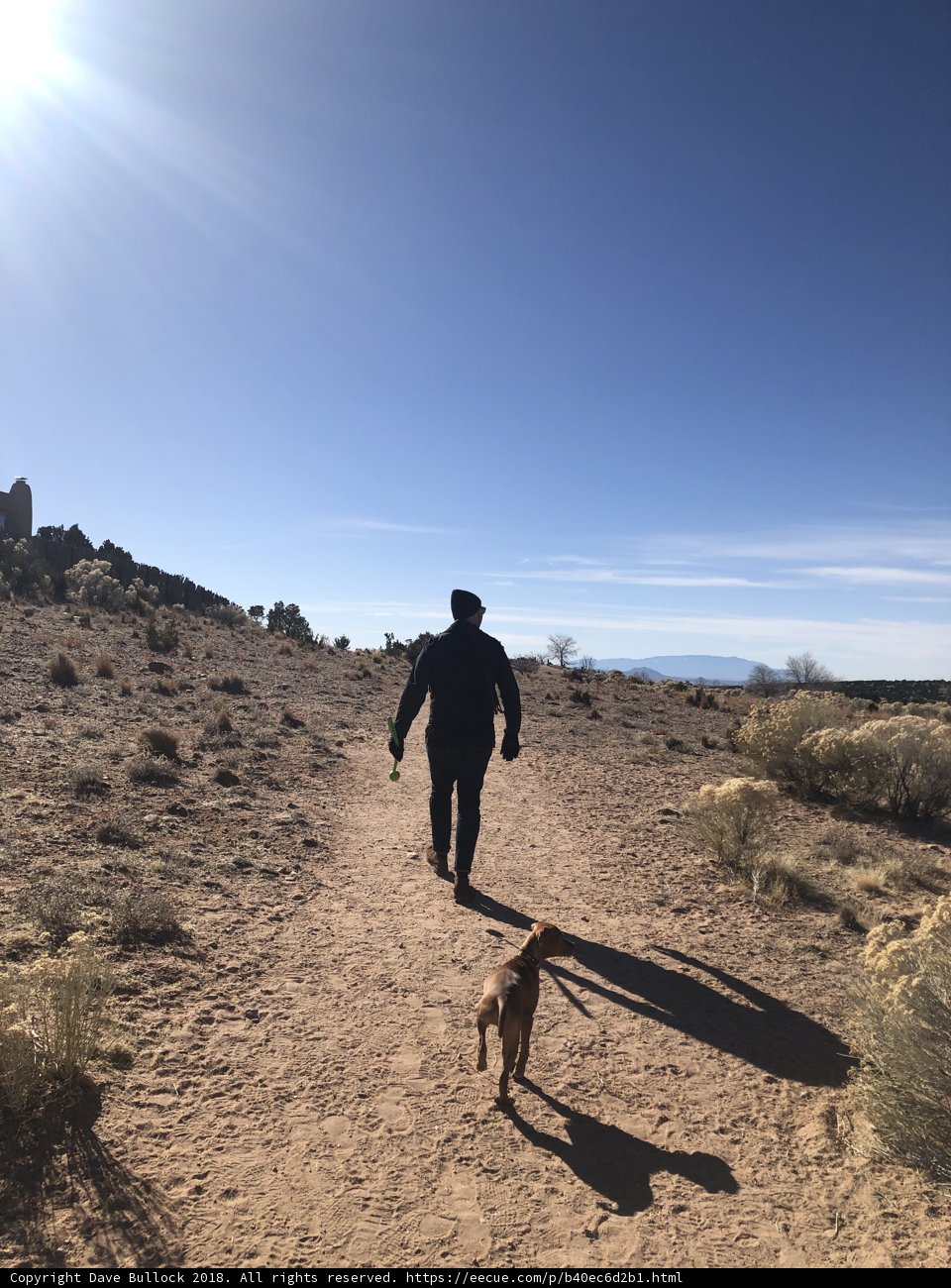 A Walk with My Best Friend