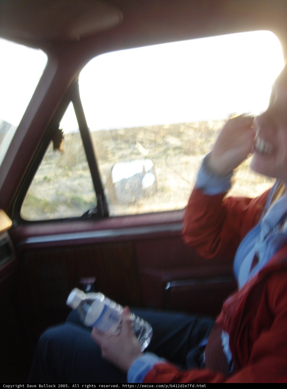 Backseat Beauty