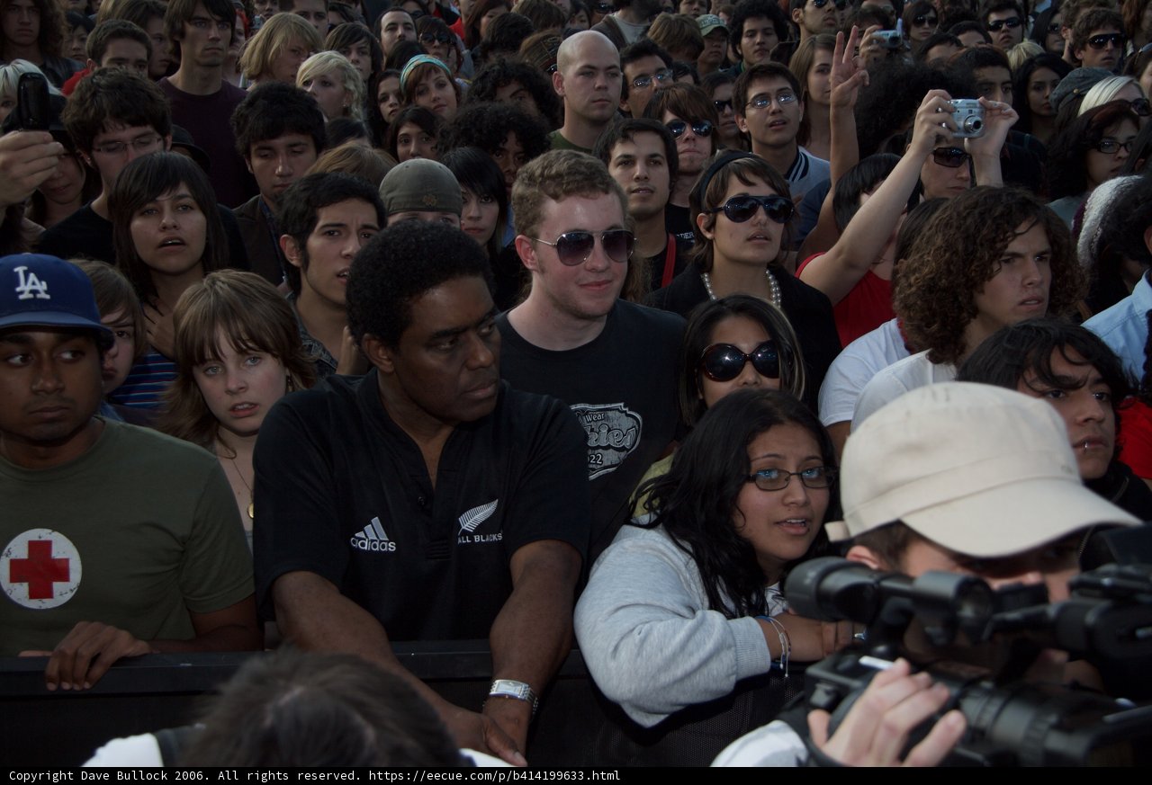 Captivating Crowd