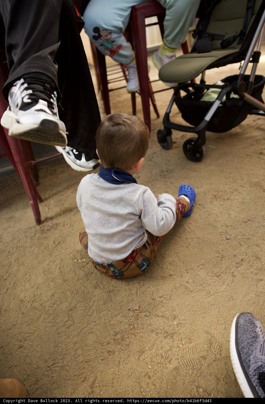Playful Moments in Downtown Sonoma
