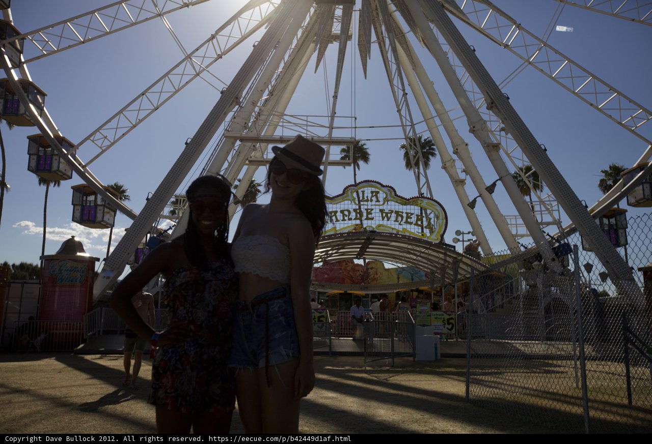 Fun at the Ferris Wheel