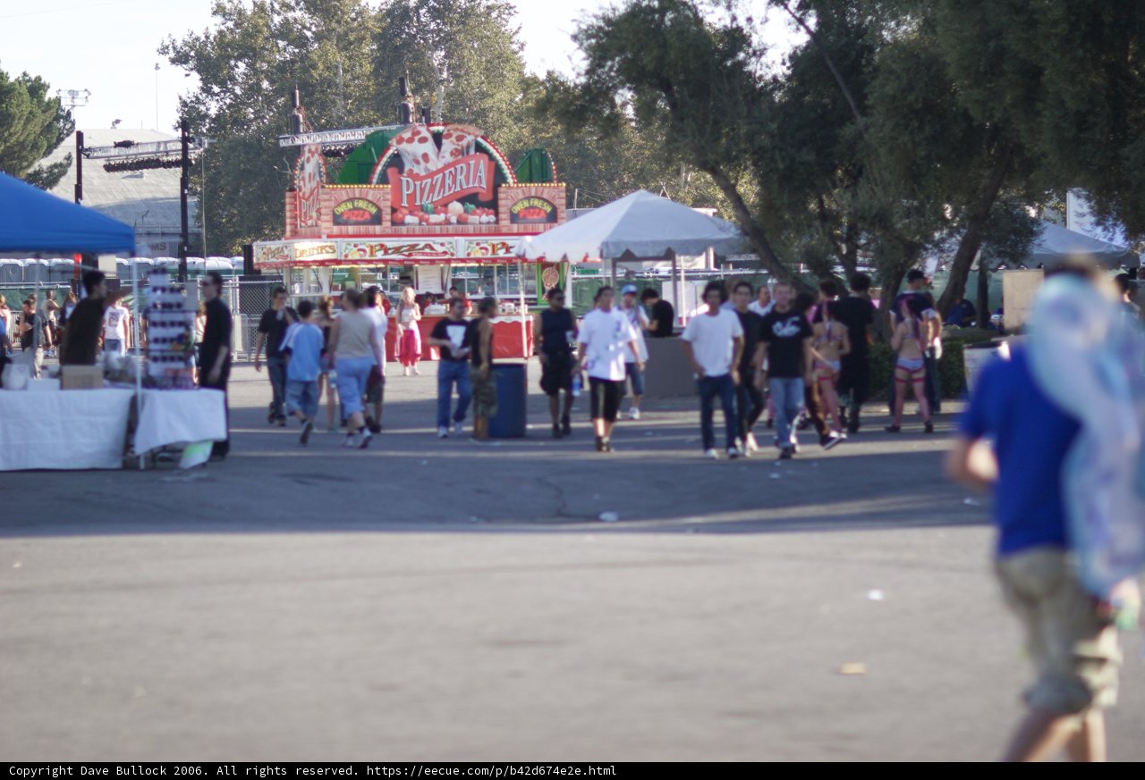 Carnival Crowd at City Market