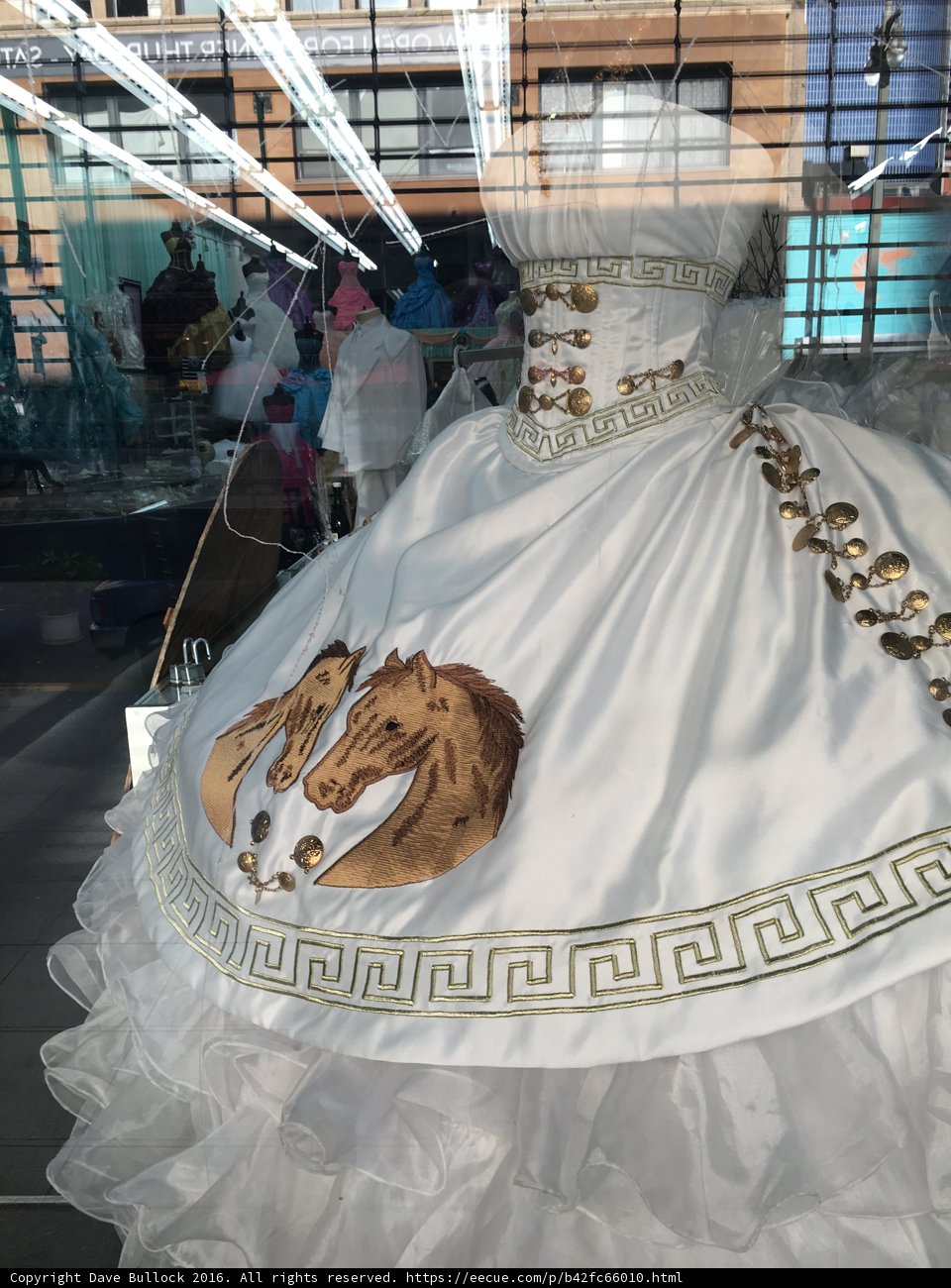 The Elegant Equestrian Gown