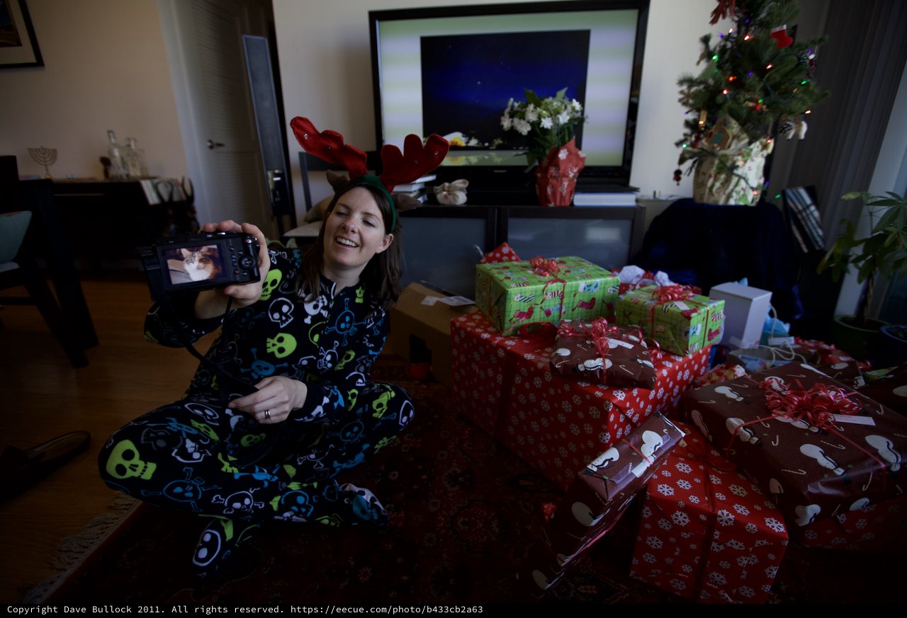Reindeer Antlers and Christmas Morning Camera Joy