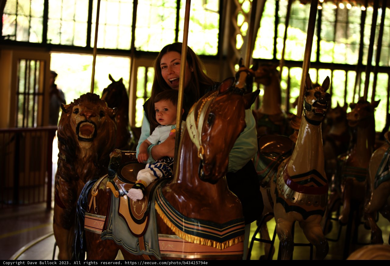 Magical Carousel Moments at SF Zoo