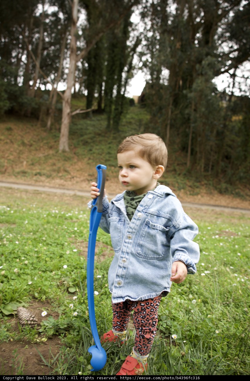 A Day in Pine Lake Park, A Moment in Childhood Bliss
