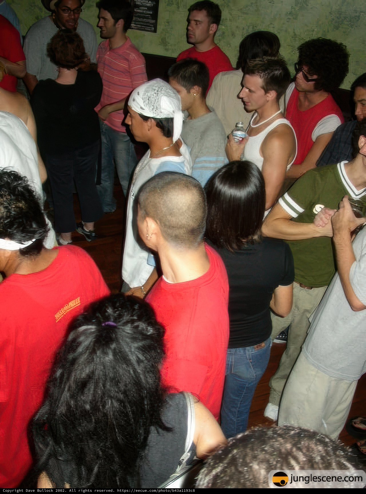 Night Club Crowd at Disco