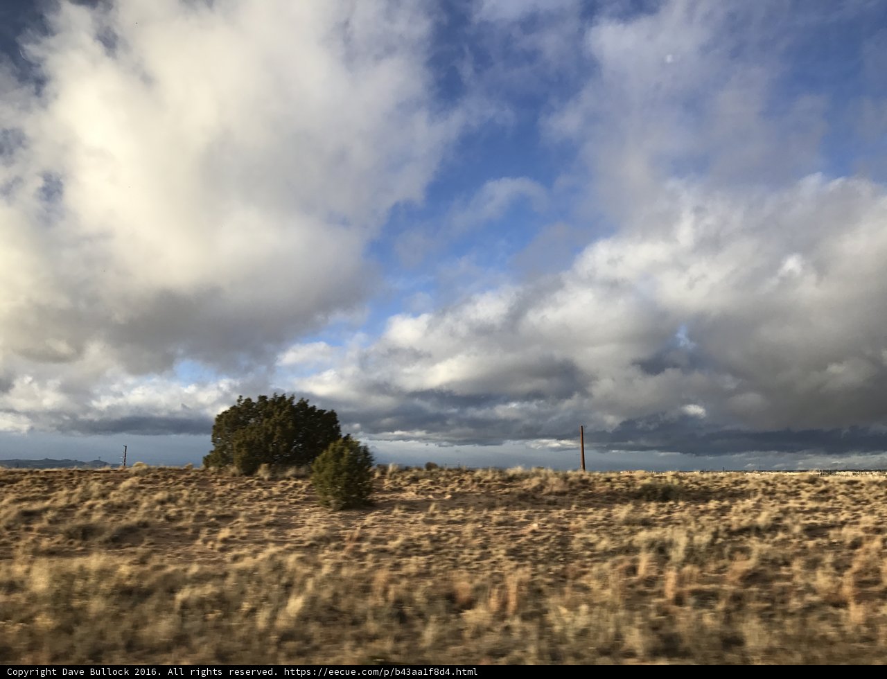 Solitude in the Field