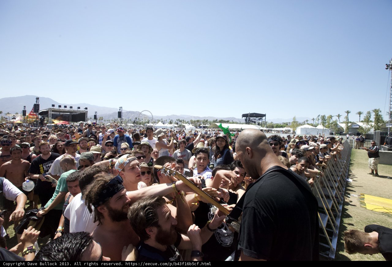 Coachella Crowd Vibes