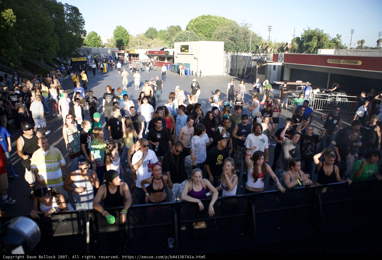 The Thrill of the Crowd