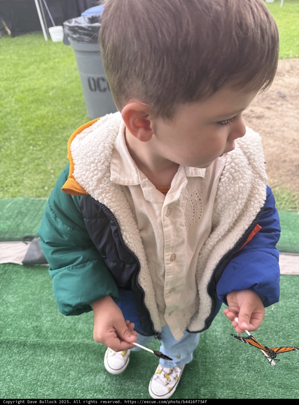 Curious Exploration at Plaza Park