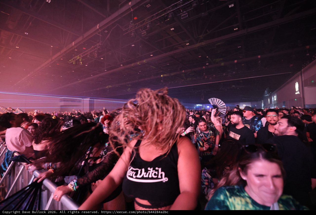 Dreadlocked Dancer Loses Herself in Festival Crowd