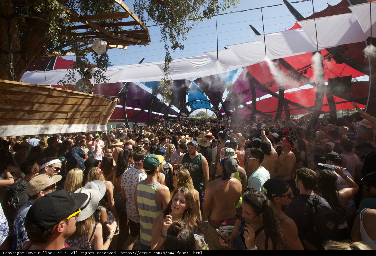 Music Festival Madness