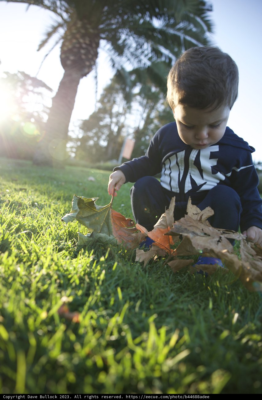 Autumn's Lure: An Afternoon Of Innocent Play