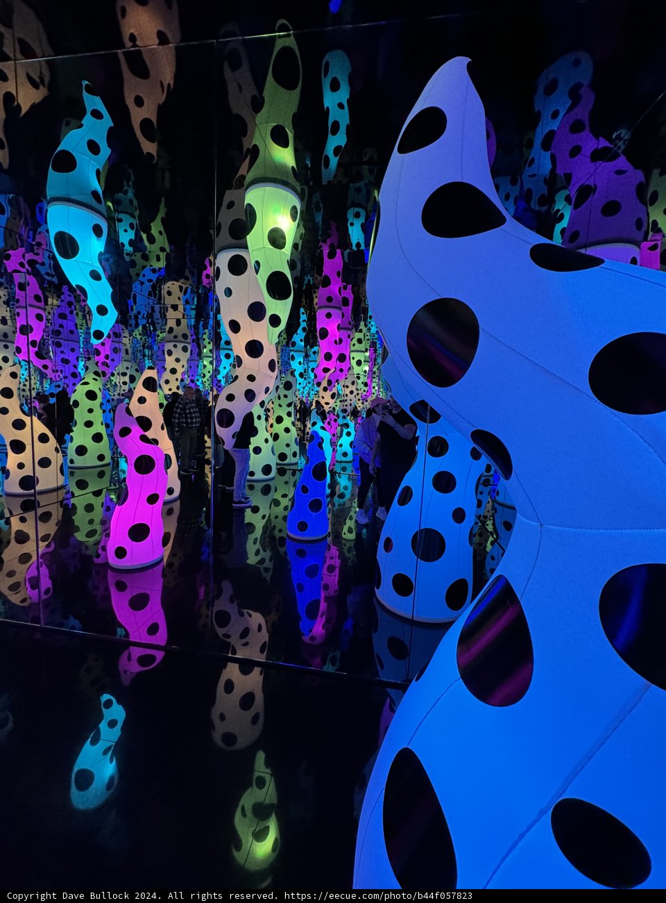 Harmonious Paradox: Polka in the Urban Night