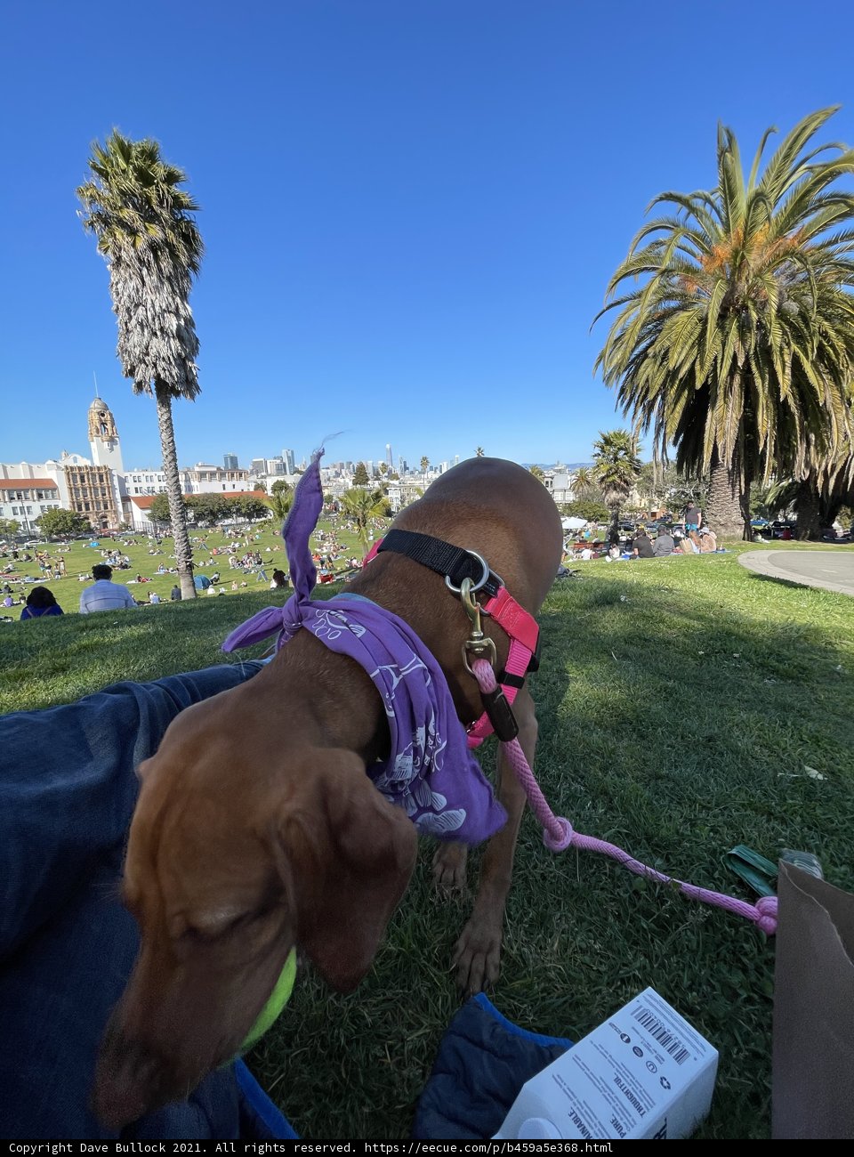 Pretty in Purple