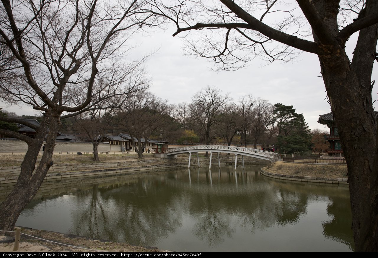 Tranquil Bridge Reflections: A Glimpse of Korea's Harmony