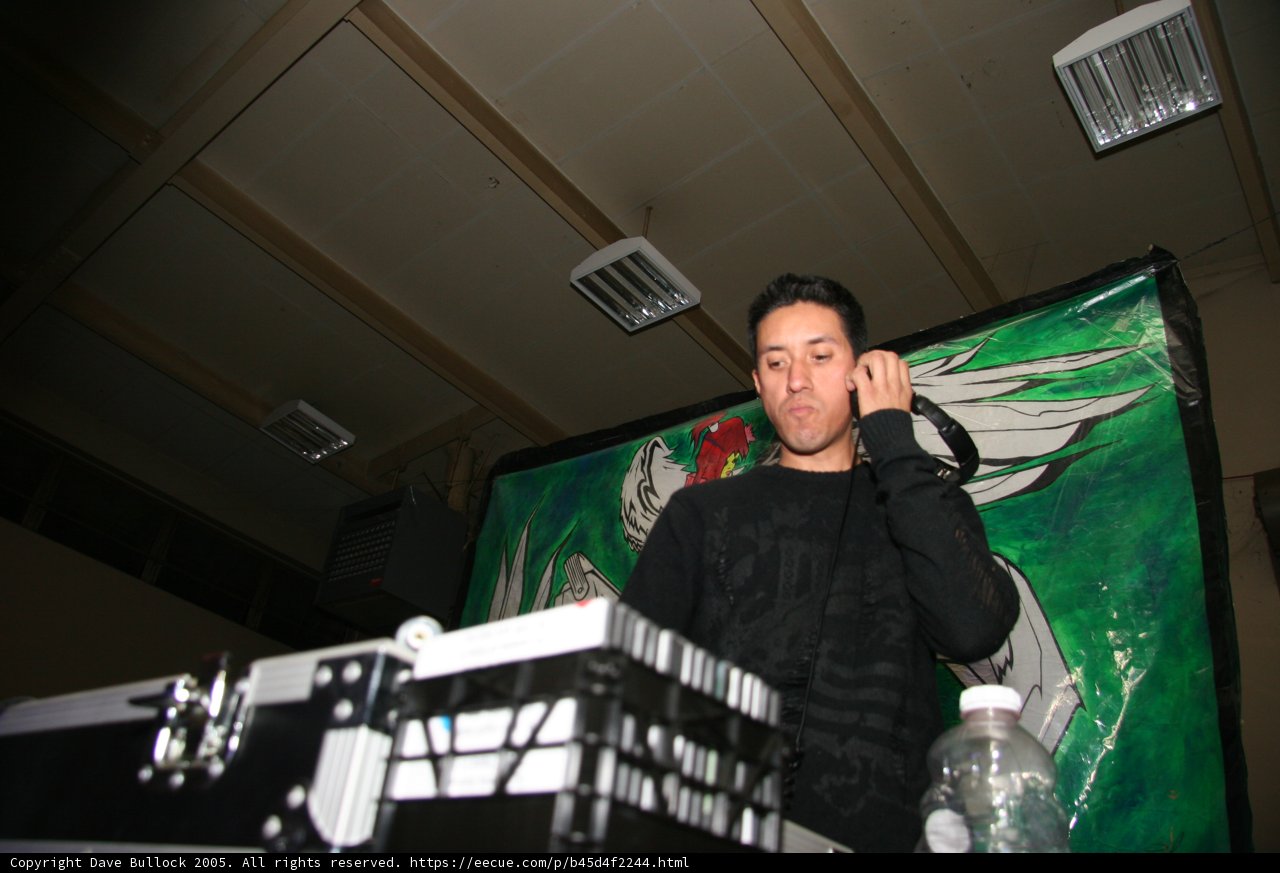 The DJ at Work
