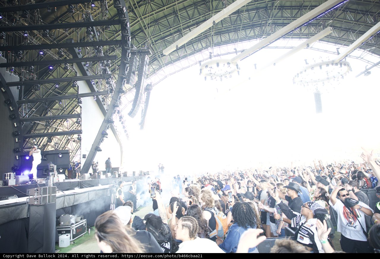 Electric Vibes Under the Sun: Coachella 2024