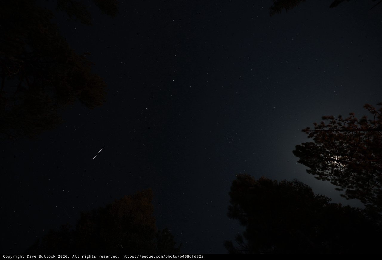 Meteor Streaks Across Star-Filled Night Sky