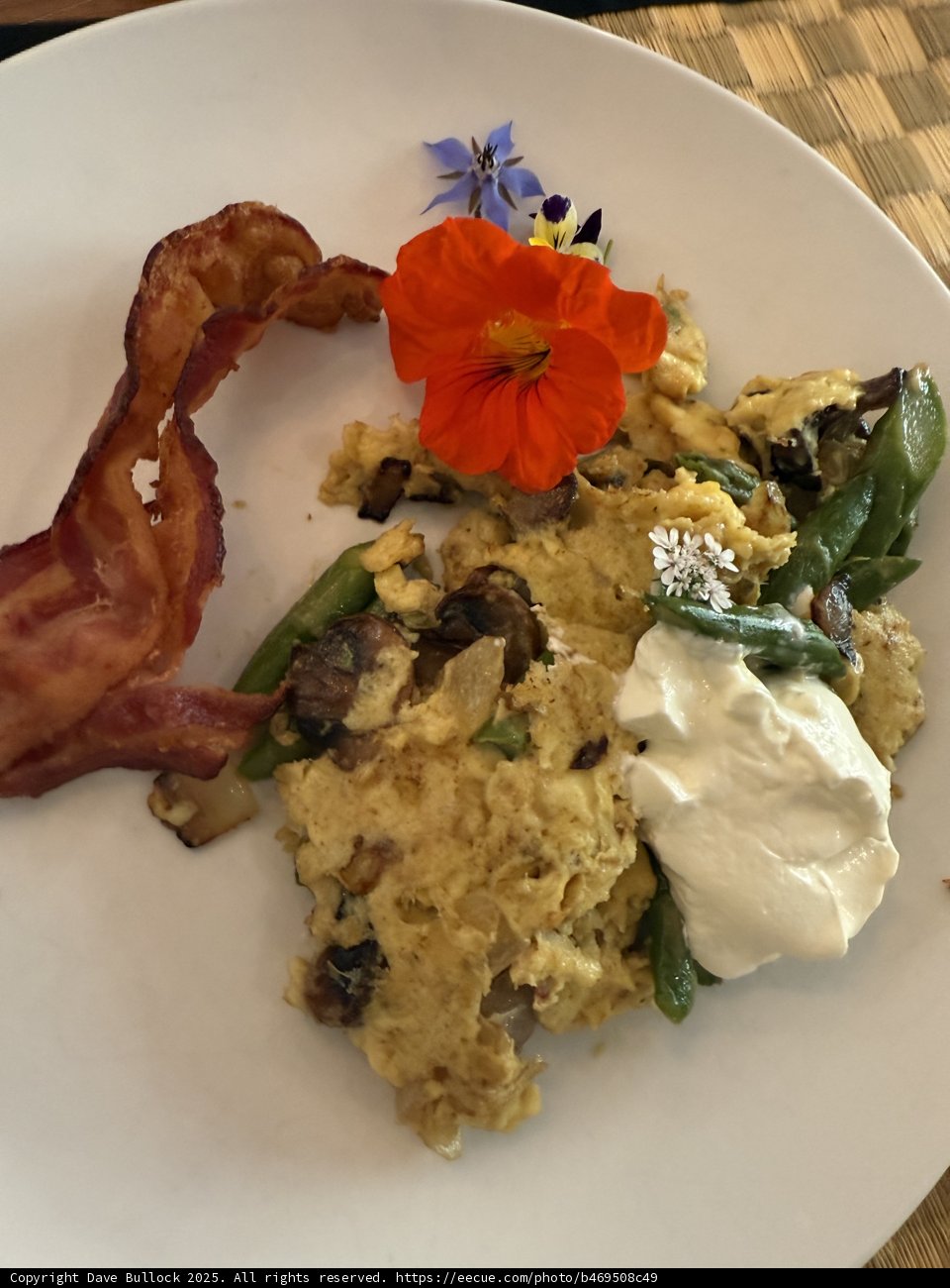 Vibrant Brunch Delight