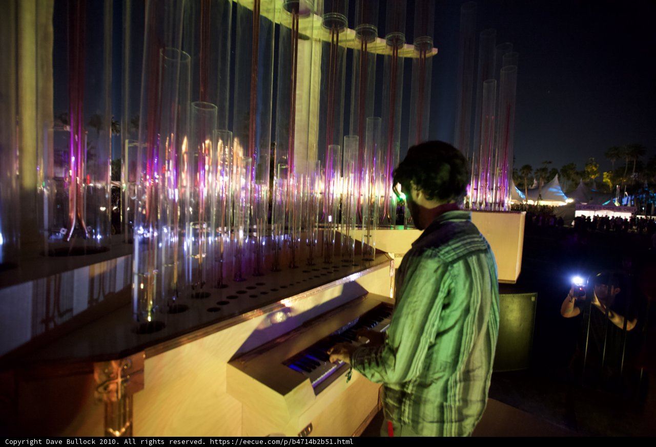 Melodies Under the Lights