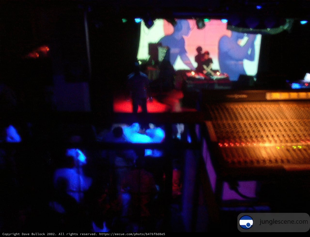 Disco Nightclub Performance