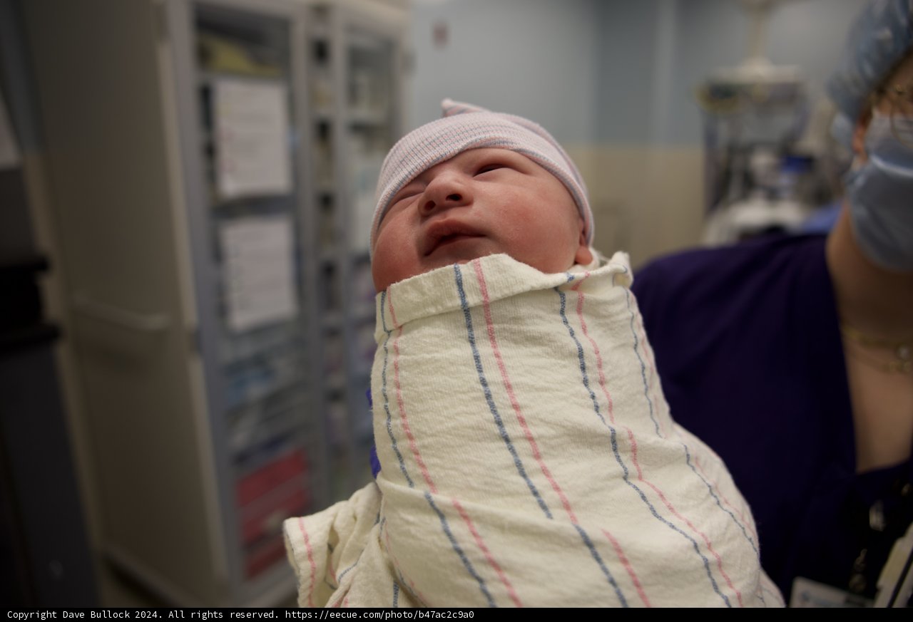 Welcome to the World, Leland