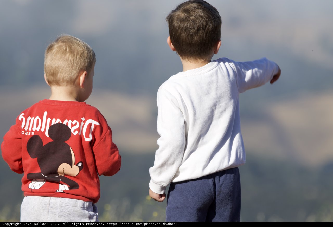 Two Young Boys Gazing Across Mountain Valley Vista