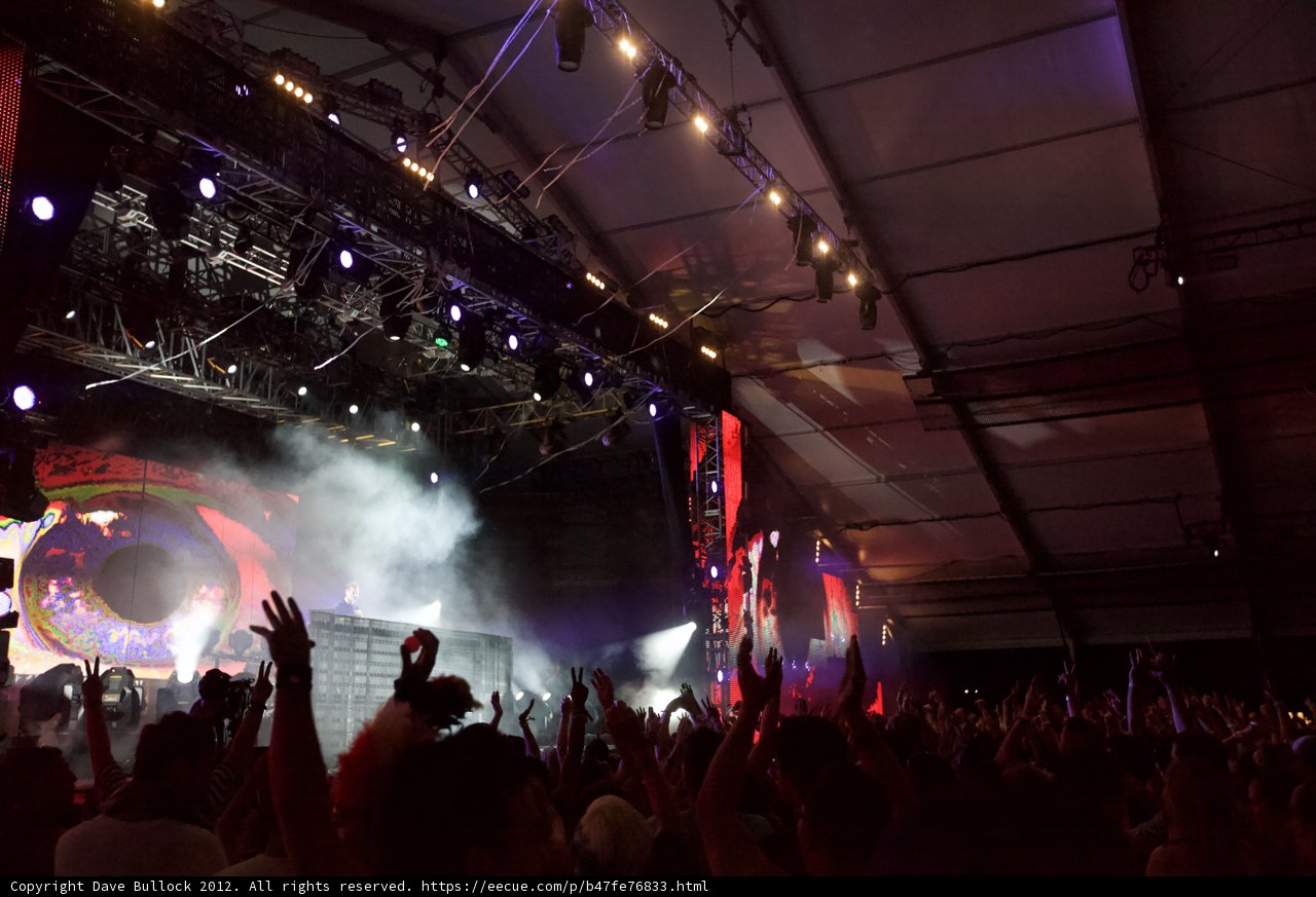 Rocking Out with the Crowd
