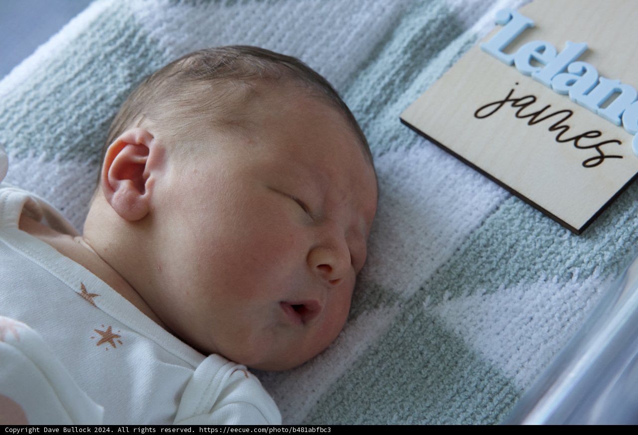Welcome to the World, Leland James