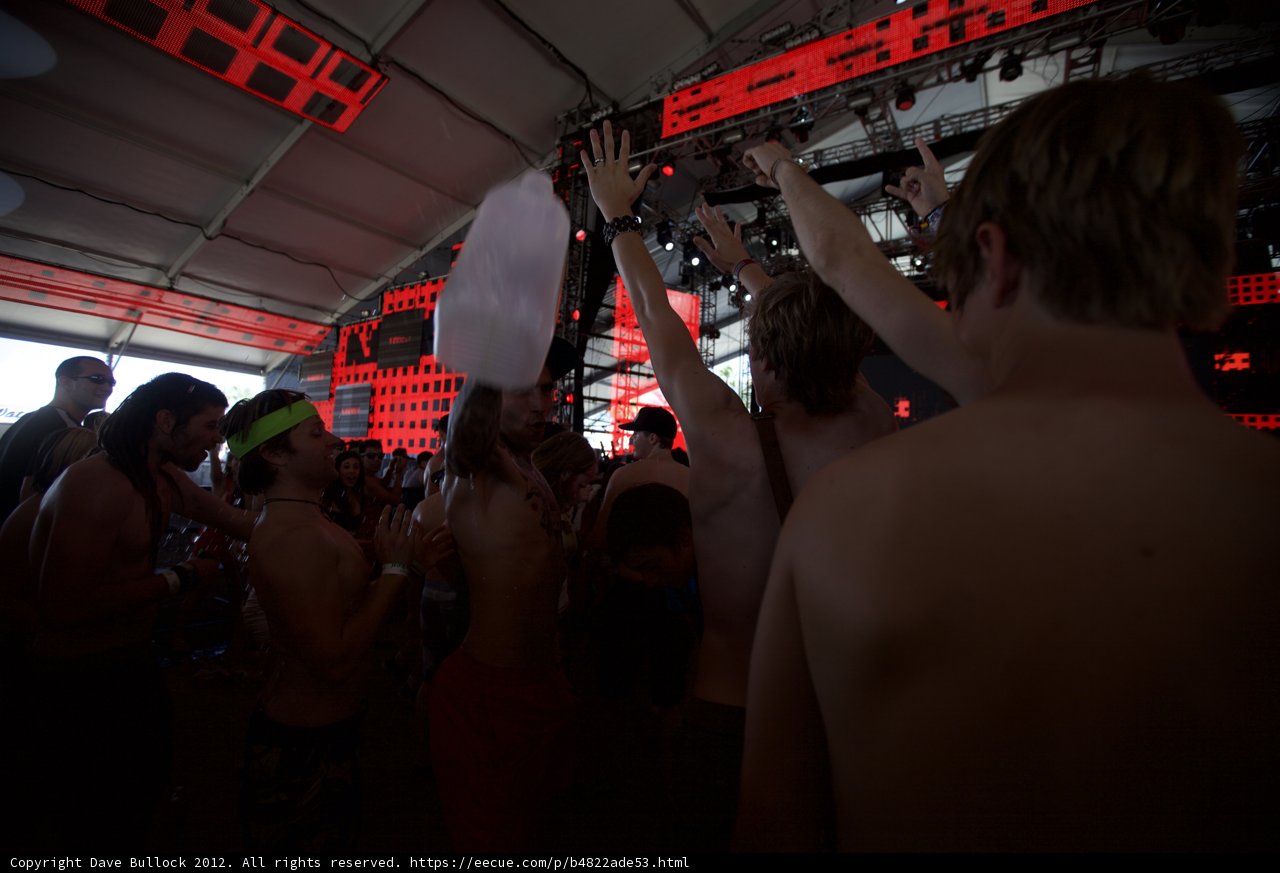 Coachella's Beloved Crowd