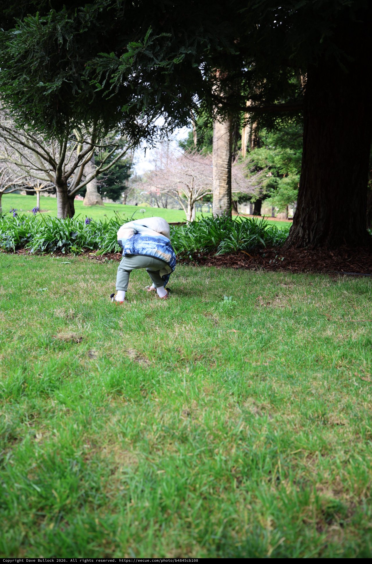Young Child Exploring Park Grounds on Spring Day