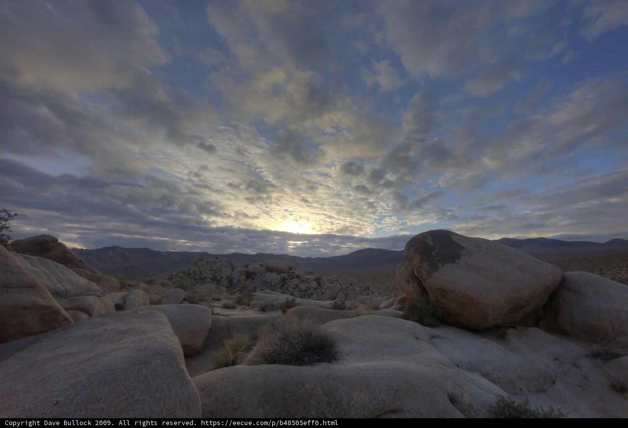Desert Sunset