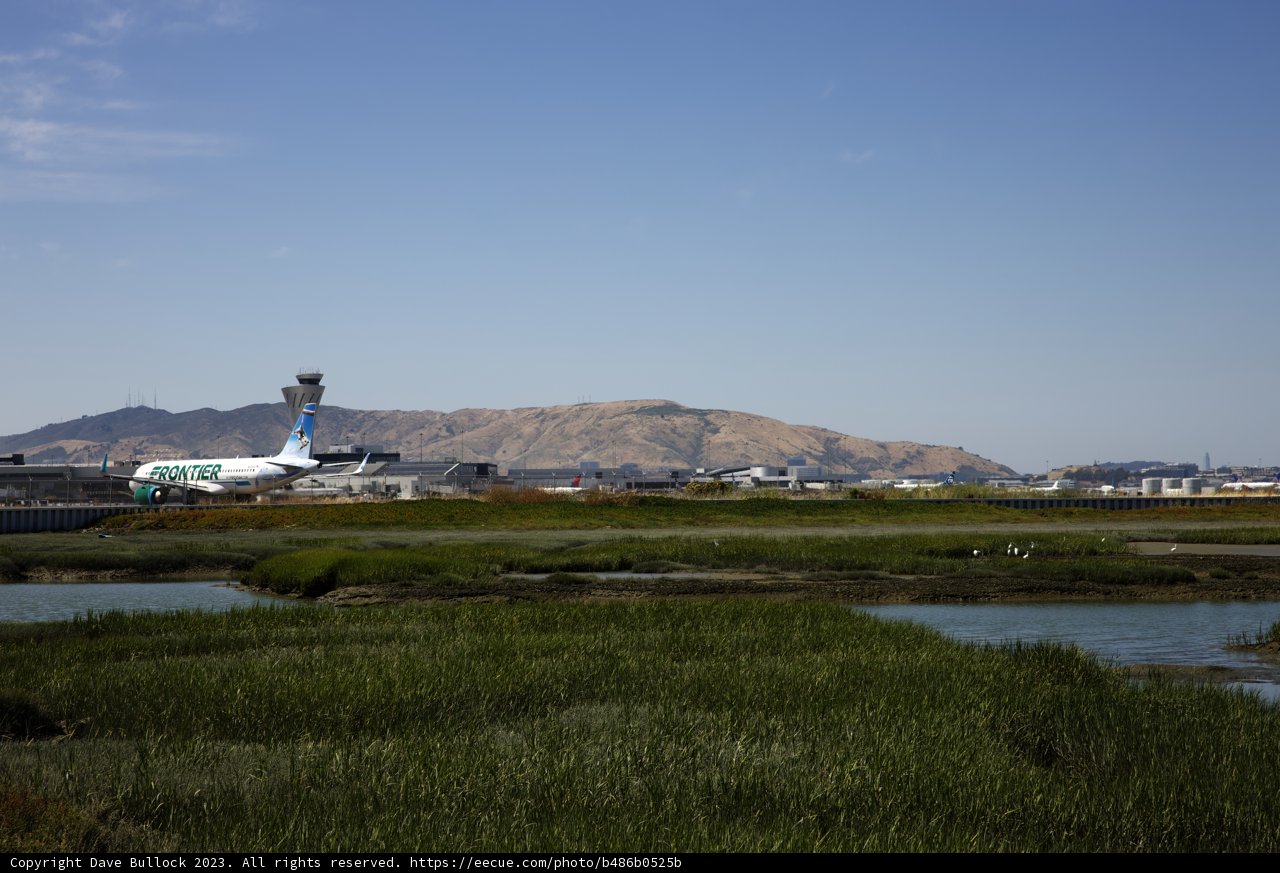 Bayfront Park: An Airport Haven Amidst Nature