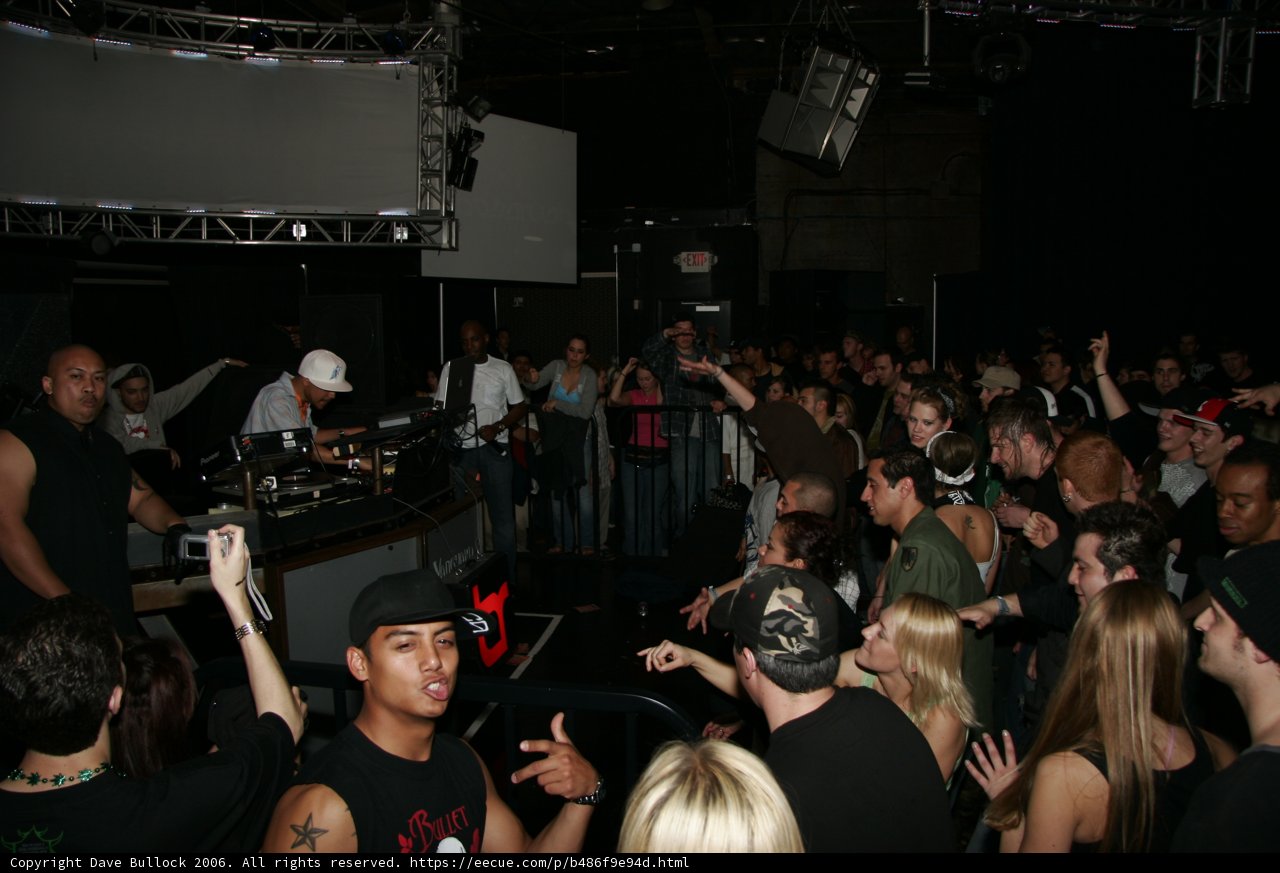 Nightclub Crowd in 2006