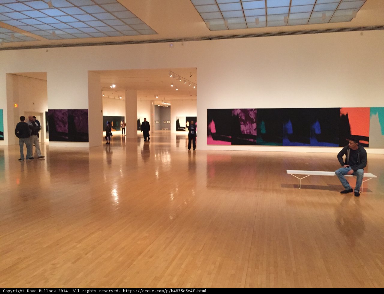 Contemplating Art