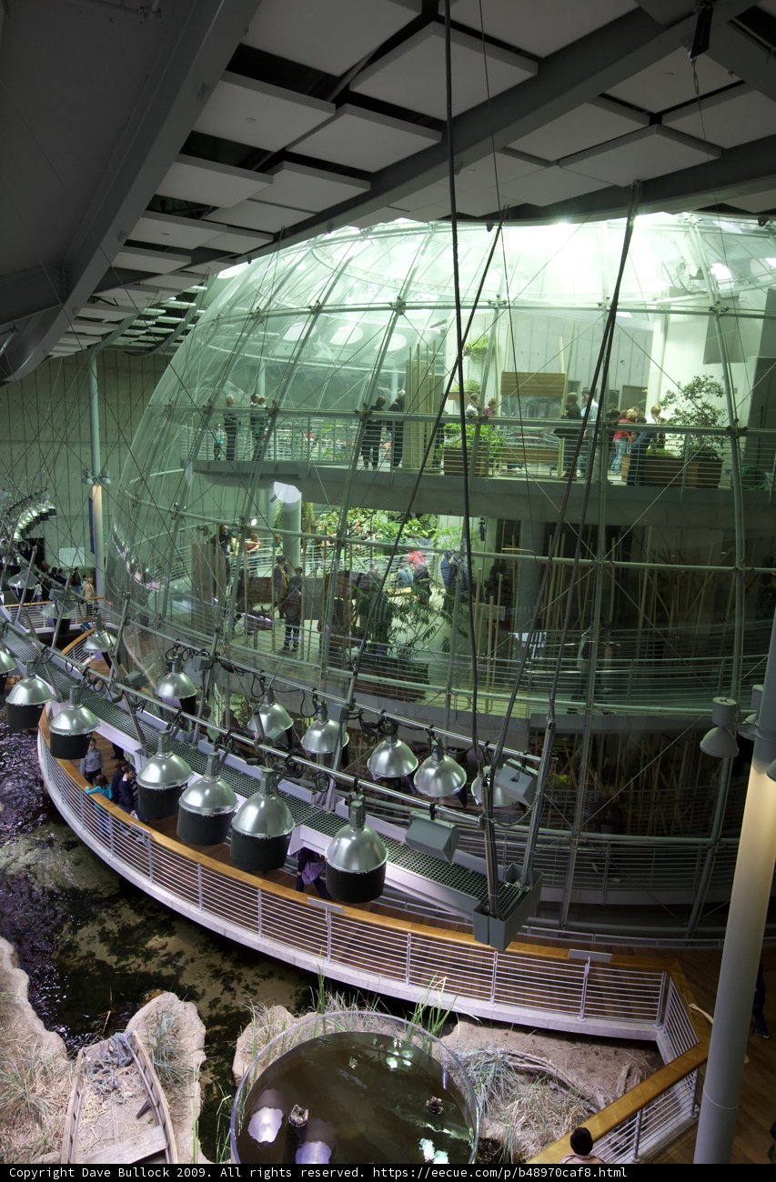 The Glass Dome Housing a Metropolis