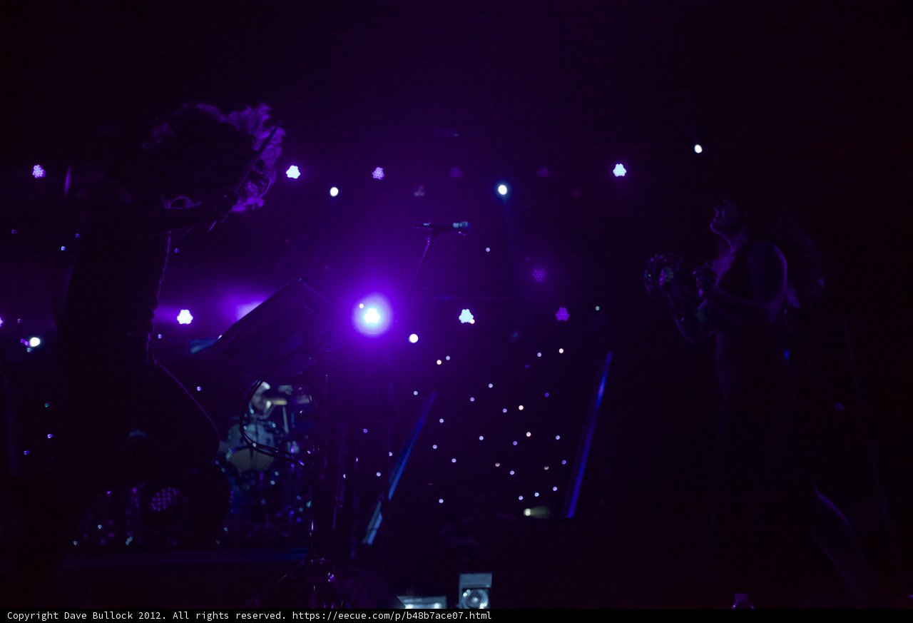 Purple Spotlight on Concert Performance