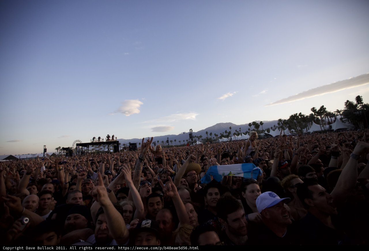 Pure Euphoria
