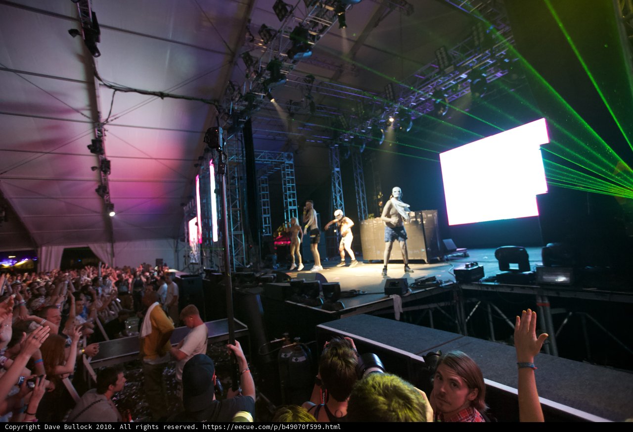Coachella's Electrifying Crowd