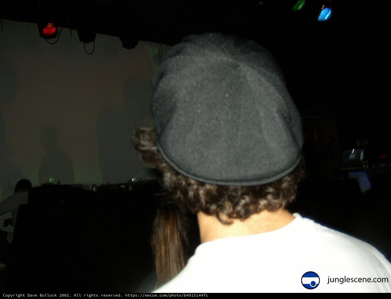 Party Hat