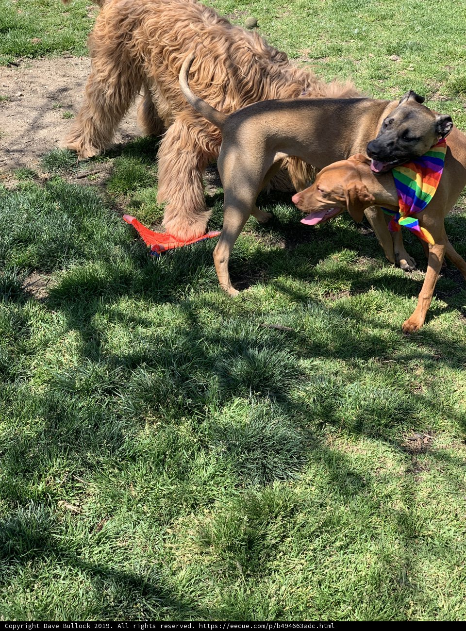 Playtime in the Park