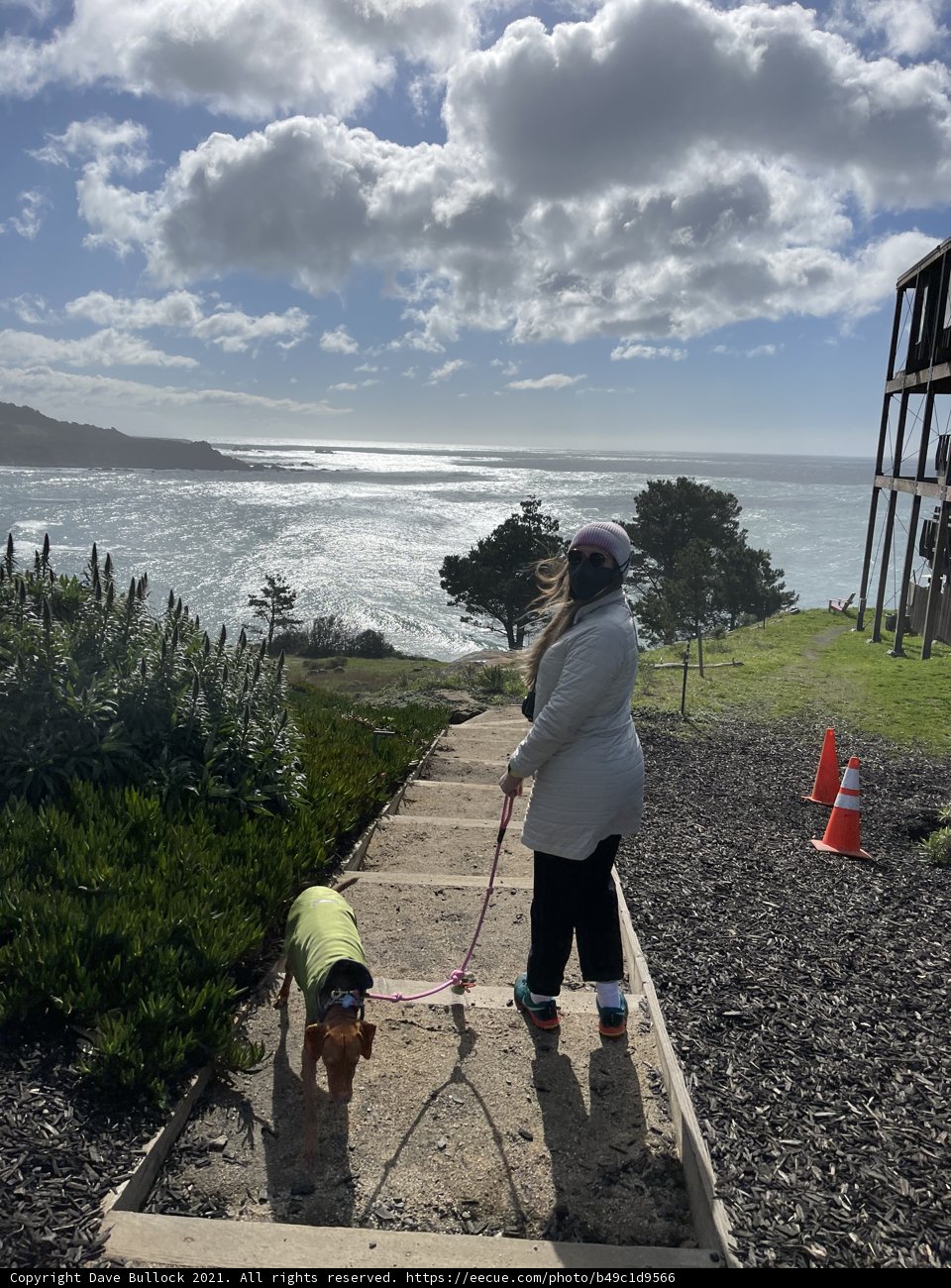 Walking by the Sea