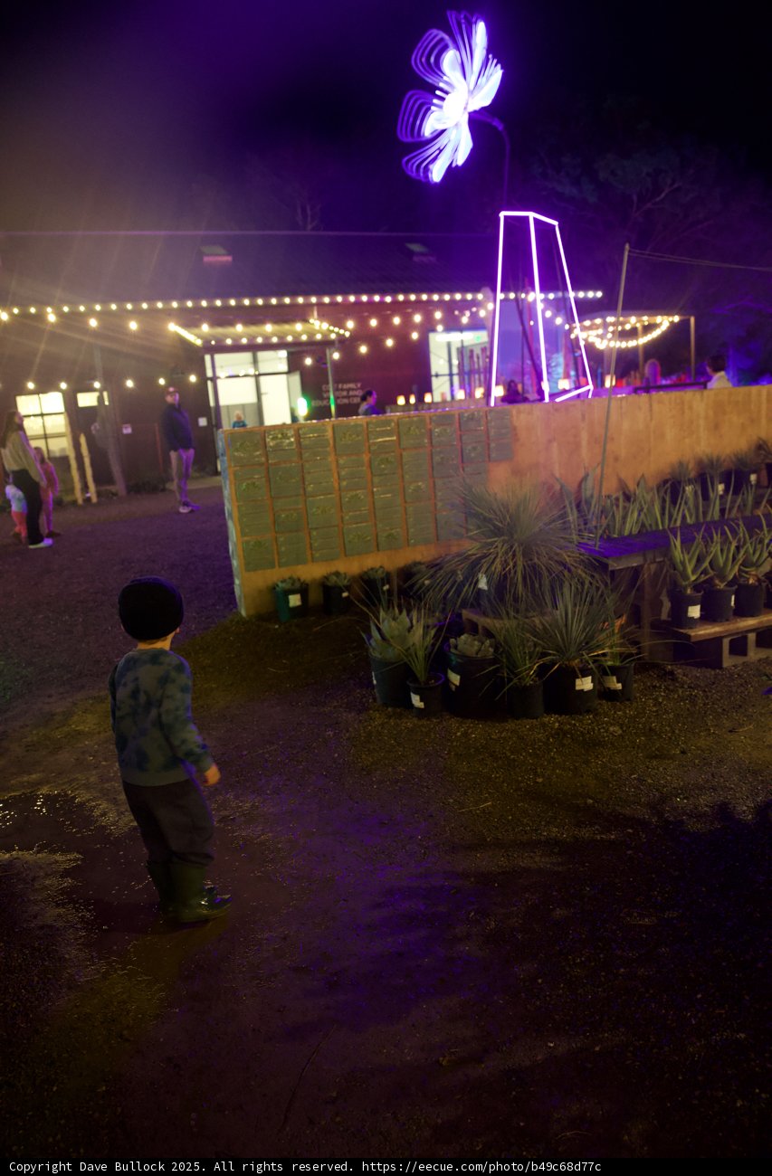 Enchanted Evenings at the Garden