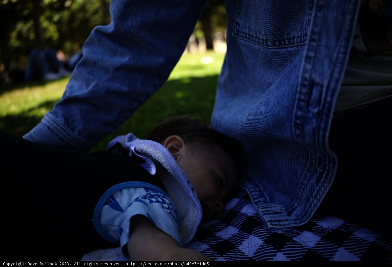 Afternoon Slumber in the Park, 2023