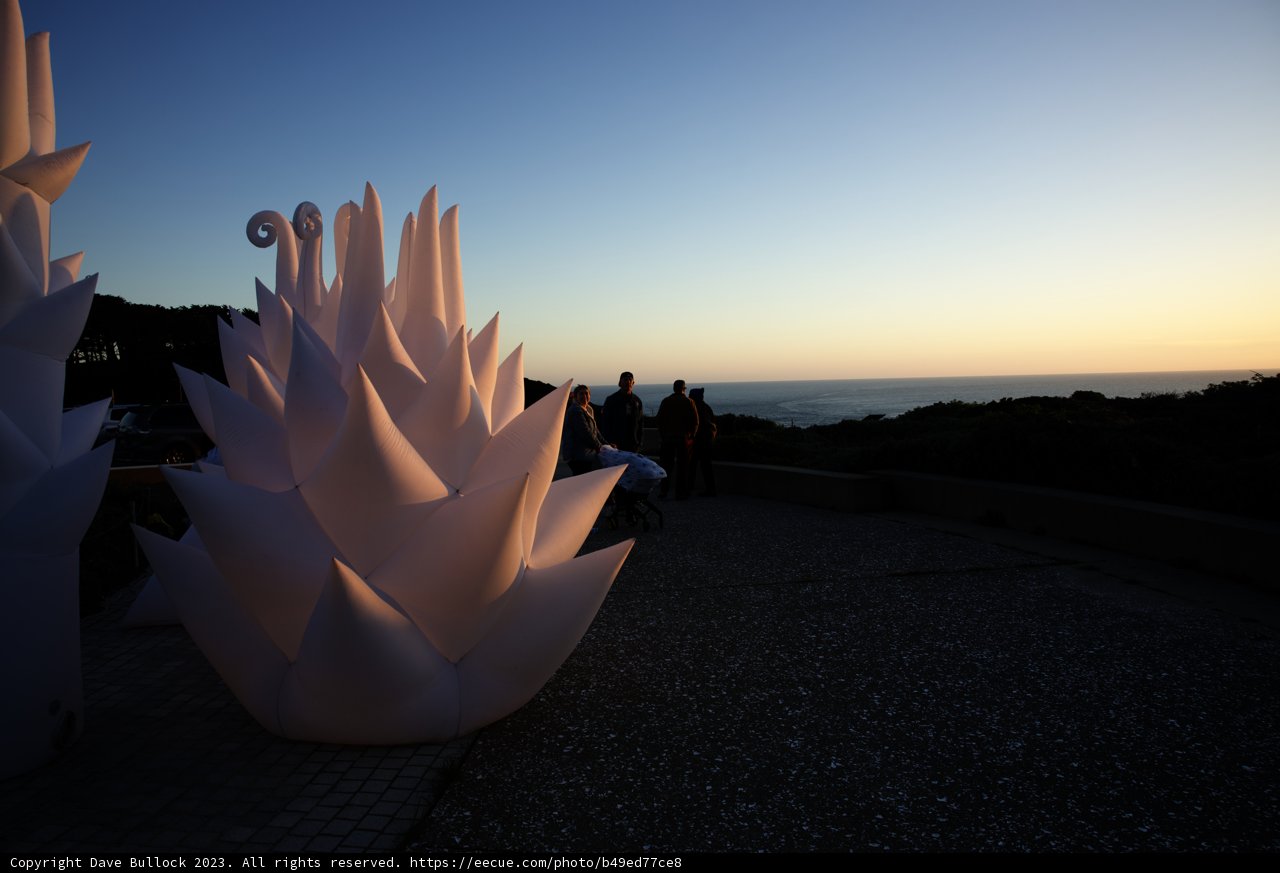 Captivating Art at Sutro Baths