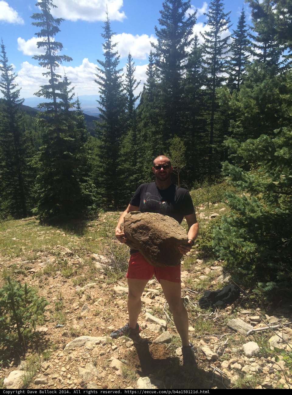 Rocky Adventure in the Evergreen Wilderness